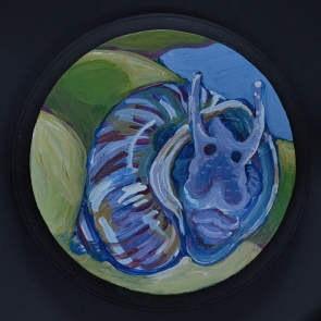 Bulinus Specimen A
