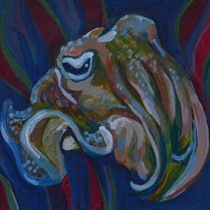 Cuttle Fish