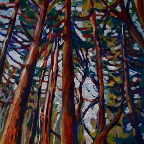 Forest Park Trees