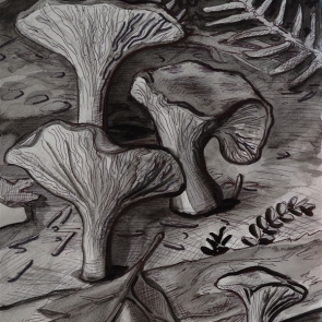 Four Chanterelles