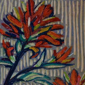 Indian Paint Brush
