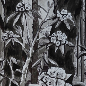 Rhododendron