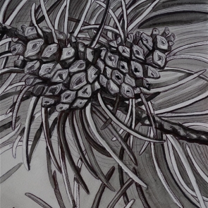 Two Pinecones (watercolor)